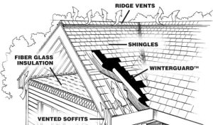 Roof Ventilation