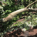 wind-damage-1
