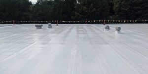 Understanding Silicone Roof Coating Price